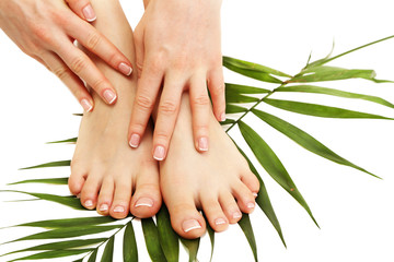 Beautiful woman legs and hands, isolated on white