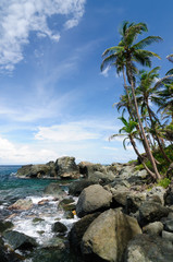 Obraz premium Wild Colombian Caribbean coast near Capurgana