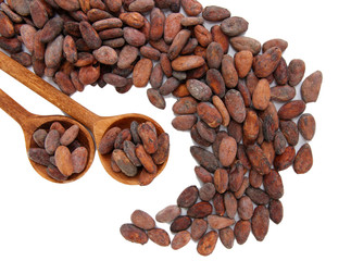 Cocoa beans in wooden spoons, isolated on white