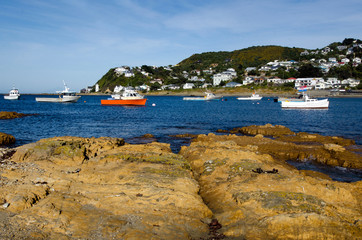 Wellington Cityscape © Rafael Ben-Ari