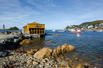 Wellington Cityscape © Rafael Ben-Ari