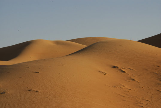 Abu Dhabi desert dunes