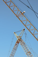 Yellow cranes and Blue Skies