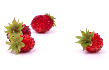 Forest strawberry isolated on white background