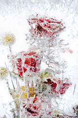 delicate bouquet of flowers in the ice