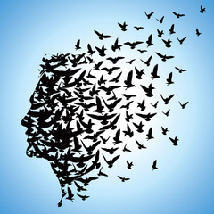 flying birds to human head © artqu