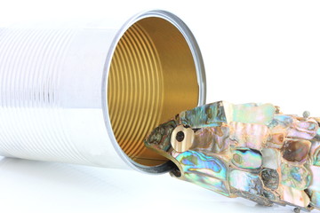 Sardine and can