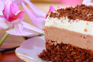piece of chocolate cake