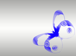 Fototapeta premium Papillon bleu