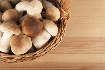 forest mushrooms on wood background
