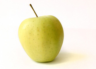 Golden delicious rangers single yellow ripe apple