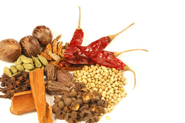 Variety of Raw Indian Spices