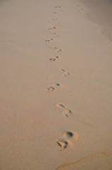 Footprints on a virgin  beach