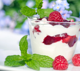 Himbeerjoghurt