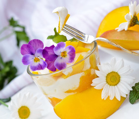 Obraz na płótnie Canvas Mango jogurt: lekki letni deser