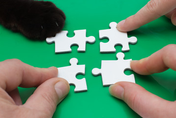 Three people and cat with puzzle