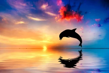 Photo sur Aluminium Dauphins Magnifique océan et coucher de soleil, saut de dauphin