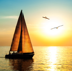 Yacht sailing against sunset with seagulls