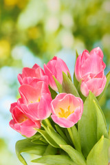 Pink tulips on bright background © Africa Studio