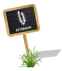 Estragon Schildchen Vektor