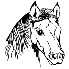 Outline of horse head