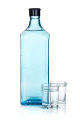 Naklejka premium Gin bottle and two shots