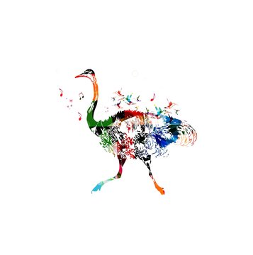 Colorful vector ostrich background with hummingbirds