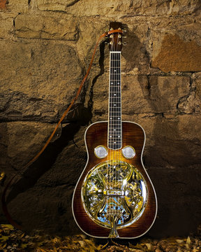 Clinesmith Dobro Guitar and Autumn Leaves