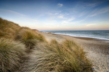 Sand Dunes at Hengistbury Head