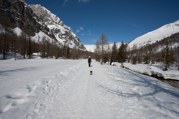 Trekking sulla neve