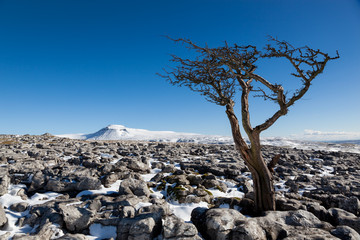 Beautiful scene in the Yorkshire Dales,across to Ingleborough