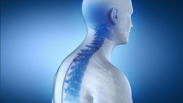 Male with roundback timelapse