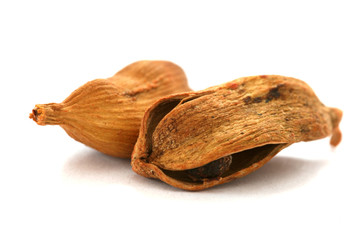 Two dry cardamom see pods on white background detail view