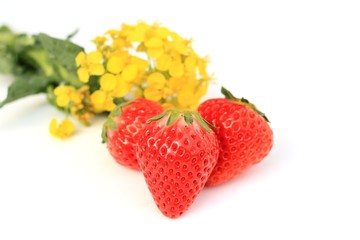 イチゴとナノハナ