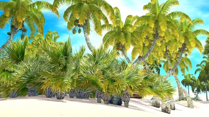 Fototapeta na wymiar Tropical paradise beach