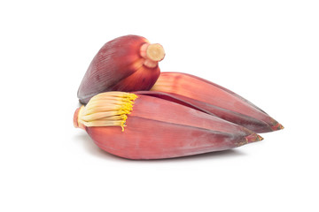 Banana flower isolated on white background.