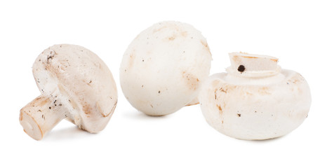 Fresh white button mushrooms