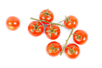 Tasty tomatoes on vine on white background