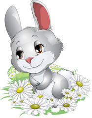 hare and camomiles © andryuha1981