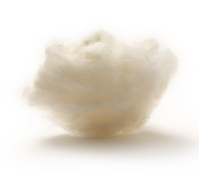 Cotton wool on the white background