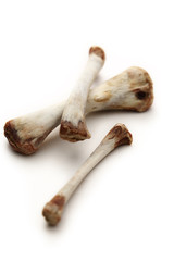 Chicken bones on white background