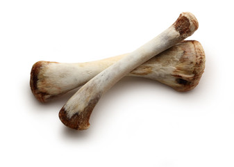 Chicken bones on white background