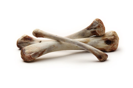 Chicken bones on white background