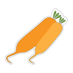 Cartoon Carrot Sticker