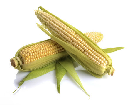 fresh corn fruits