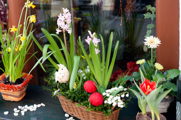 hyacinths, narcissus -  Easter decoration on a window