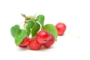 red apples close-up on white background