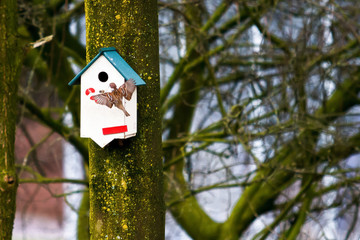 House sparrows ( Passer domesticus ) busy building a nest .