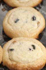 Curd patties