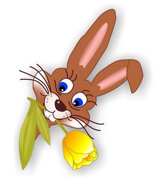 Hasi mit gelber tulpe